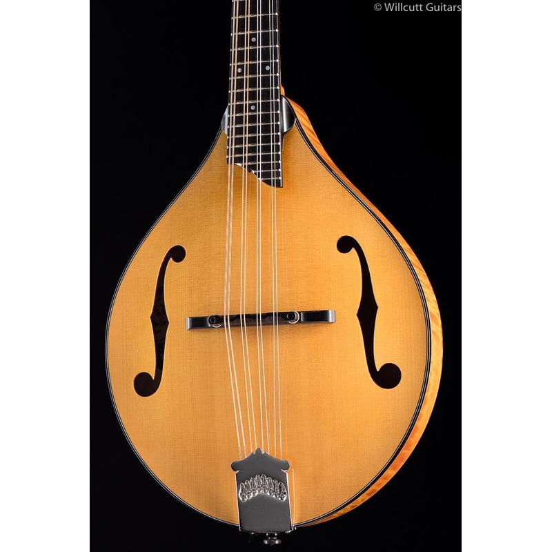 Collings MT Gloss Top (759)