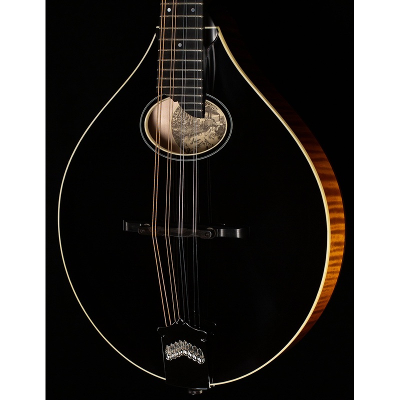 Collings MT O Mandolin Gloss Top Ivoroid Binding (638)