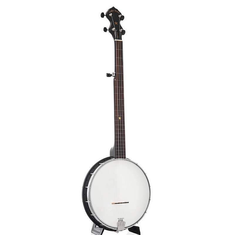 Gold Tone AC-1FL Fretless Openback Banjo & Gigbag