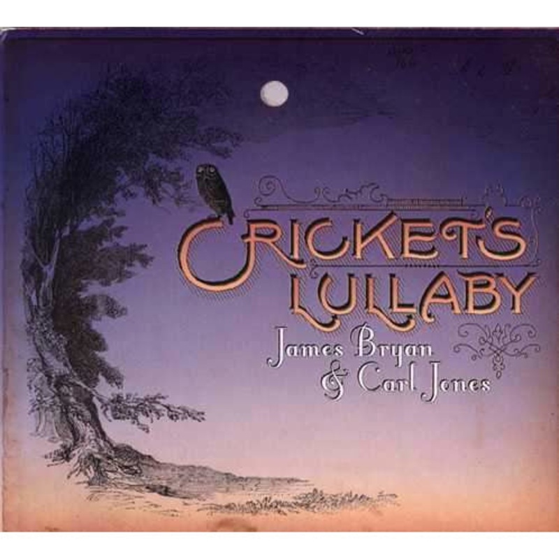 Cricket's Lullaby