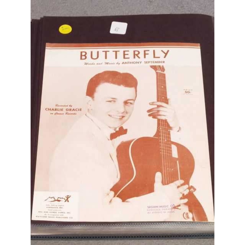Butterfly