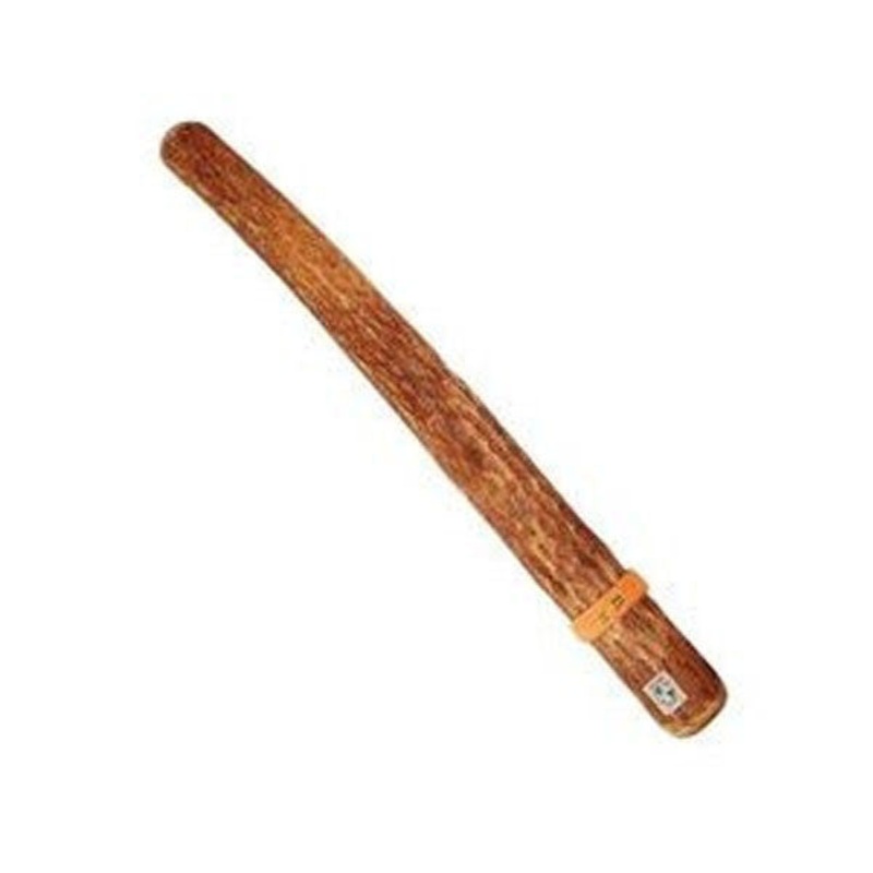Latin Percussion WB292 Cactus Rainstick 30inch