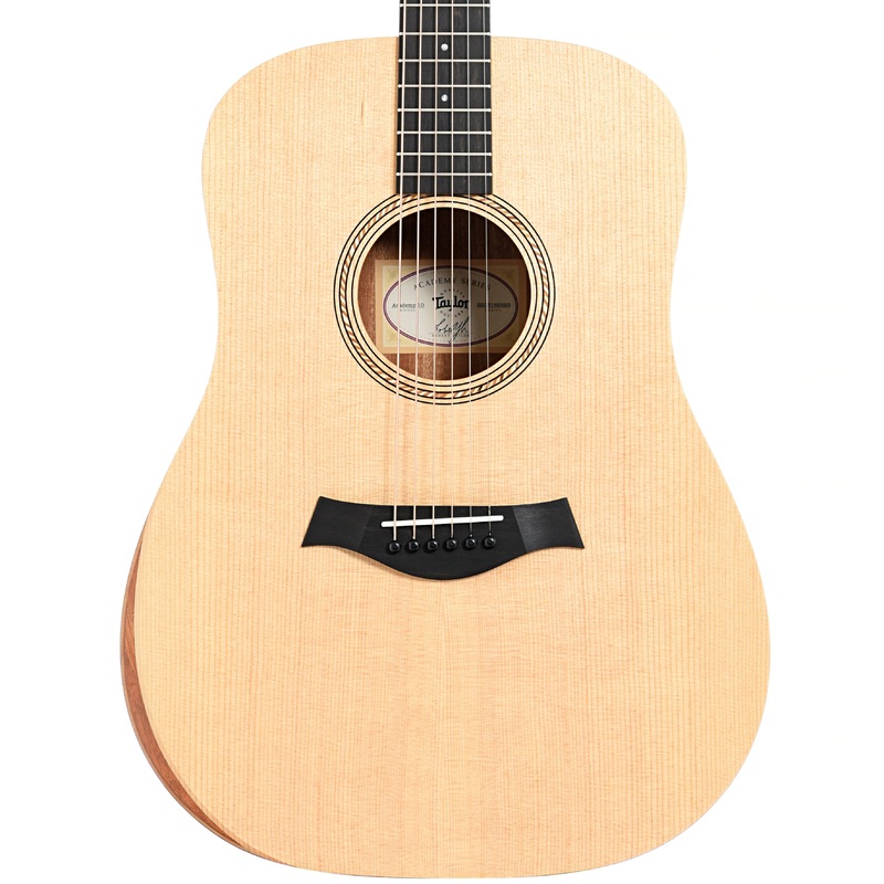 Taylor Academy 10 Acoustic Guitar & Gigbag